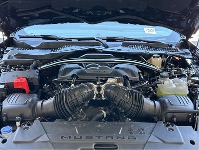 2025 Ford Mustang Dark Horse™ Premium