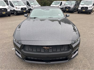 2026 Ford Mustang EcoBoost® Fastback