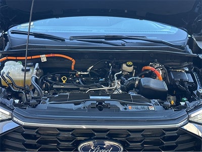 2024 Ford Escape Hybrid ST-Line