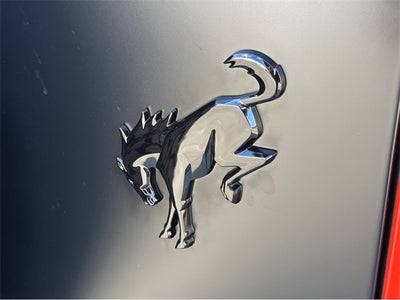 2025 Ford Bronco Stroppe Edition