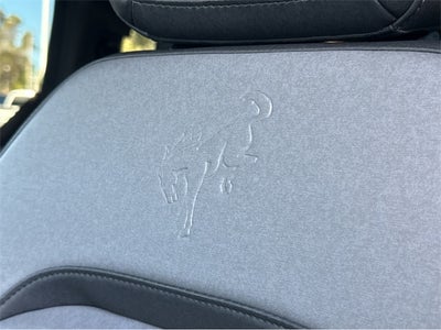 2022 Ford Bronco Everglades