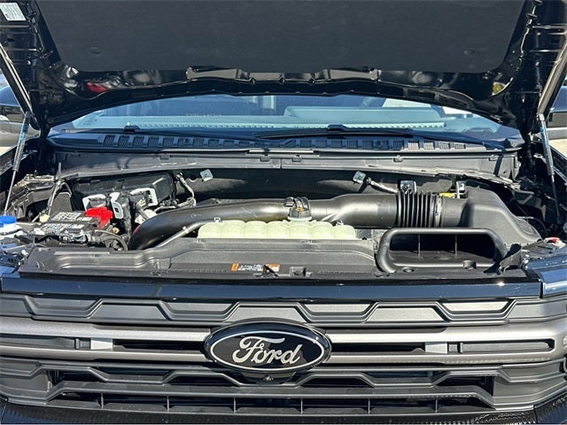 2025 Ford Expedition TREMOR®