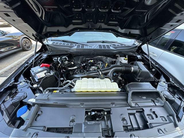 2025 Ford F-150 STX®