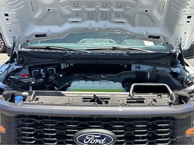 2025 Ford F-150 STX®