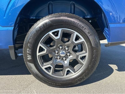 2025 Ford F-150 STX®