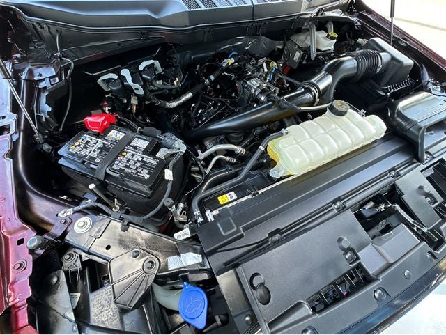 2025 Ford F-150 STX®