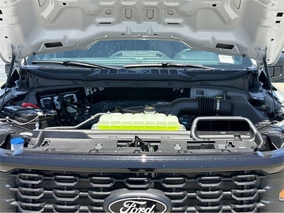 2025 Ford F-150 STX®