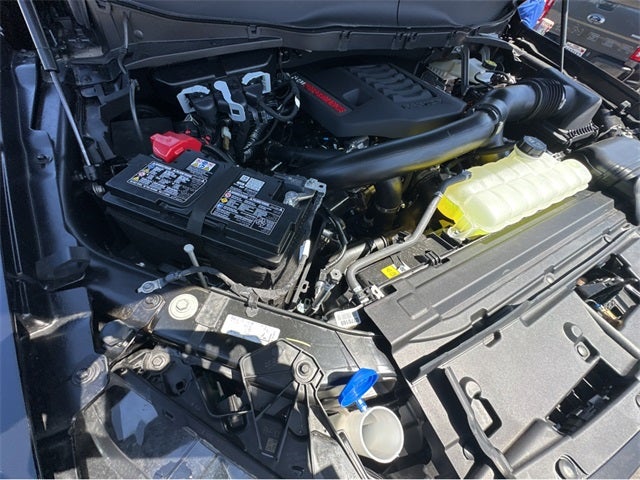 2025 Ford F-150 Raptor®