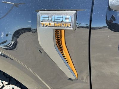 2026 Ford F-150 Tremor®