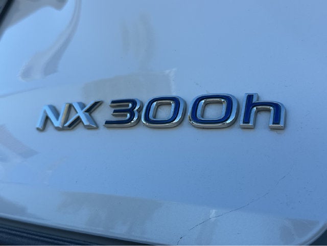 2020 Lexus NX Base