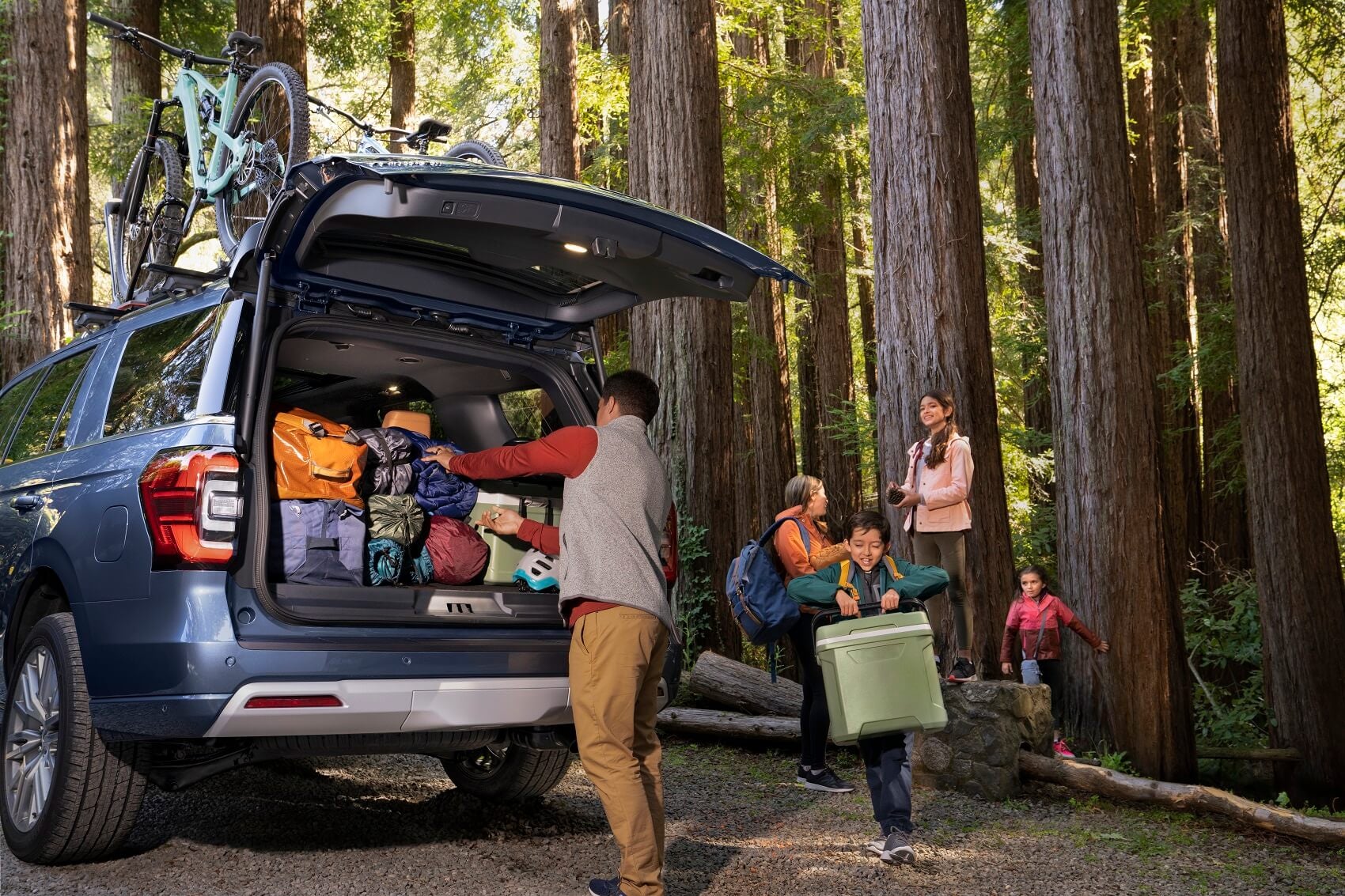 What Can You Discover Inside Our Ford Car Reviews?