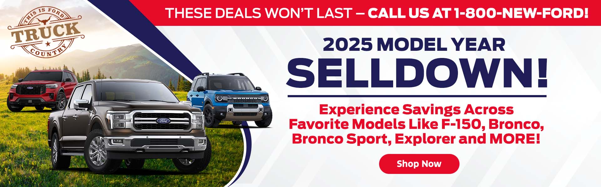 2025 Model Year Selldown