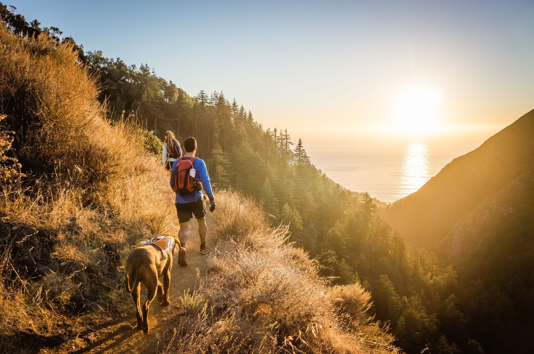 People and Dog Hiking Through the Hills near San Marcos, CA